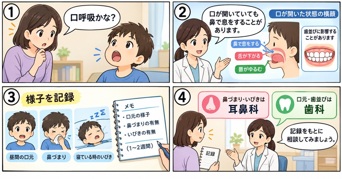 ぽかん口と口呼吸が歯並びに与える悪影響と、家庭で整理する相談先
